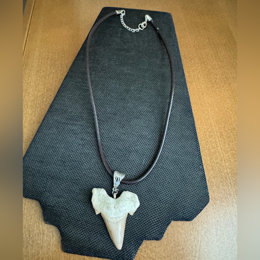 Authentic Shark Tooth Pendant Necklace on Brown Leather Cord - Picture 2 of 6